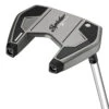 TaylorMade Spider SR Platinum/White Flow Neck Golf Putter